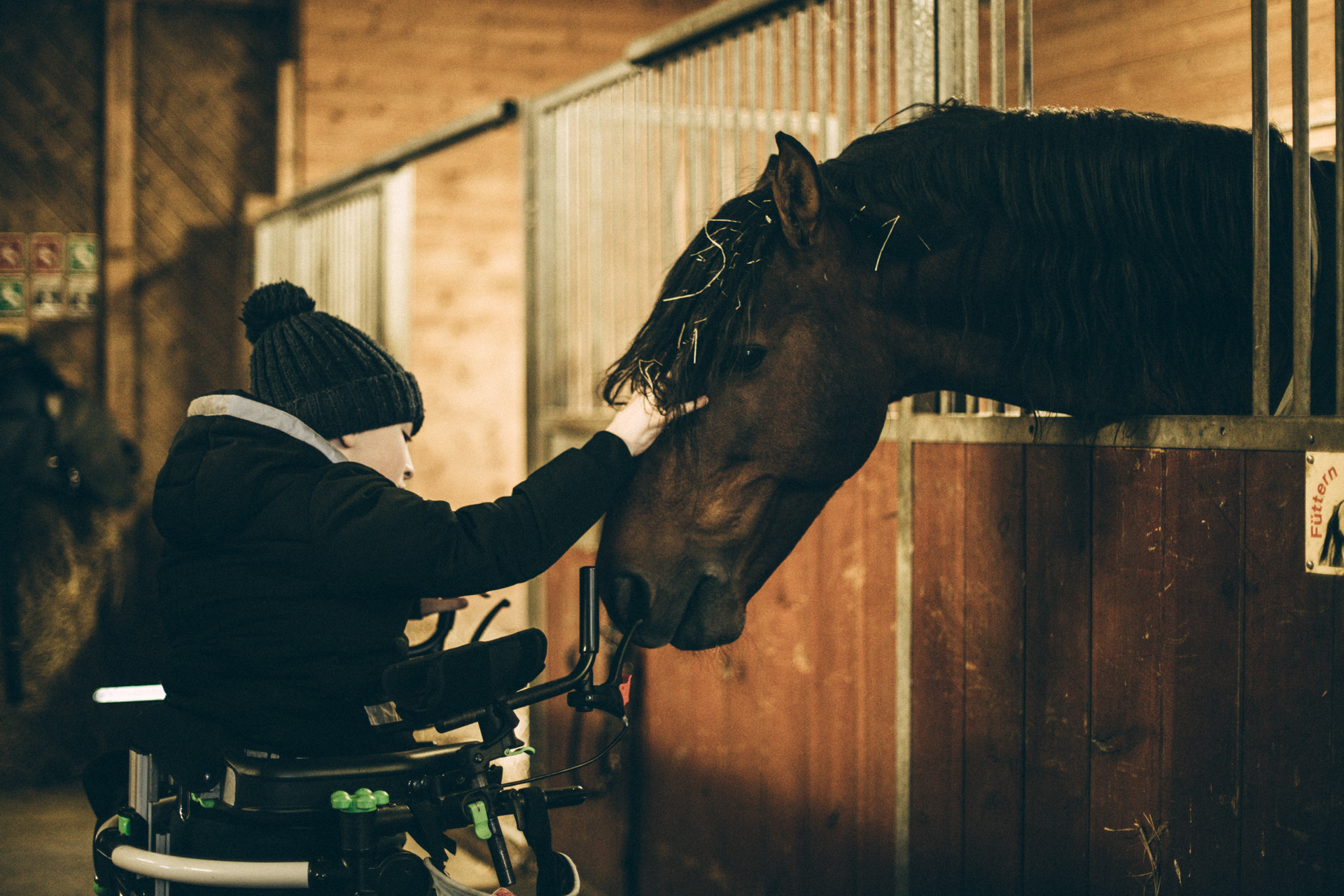 Raoul con Grillo al maneggio accarezza un cavallo